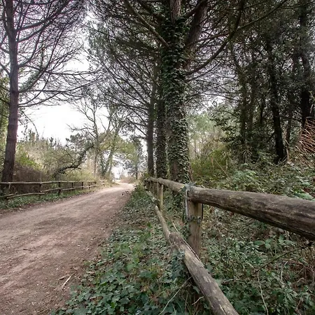 Lido Di Spina Vista Mare Pineta