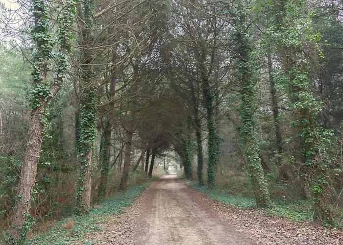 Vista Mare Pineta - A Casa Di Alessandra *