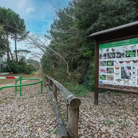 Vista Mare Pineta - A Casa Di Alessandra