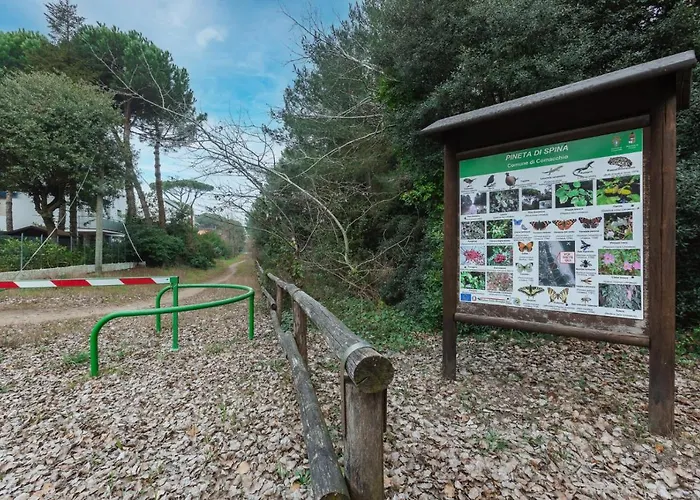 Vista Mare Pineta - A Casa Di Alessandra