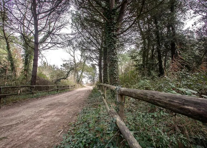 Vista Mare Pineta - A Casa Di Alessandra